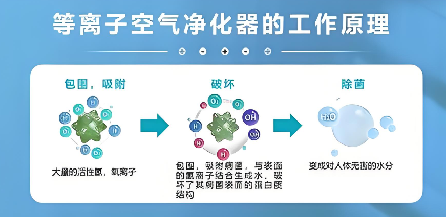 1782715824248308.png 微信圖片_2026-05-25_102116_882.png